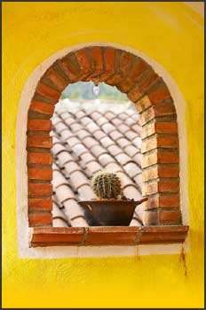 Window